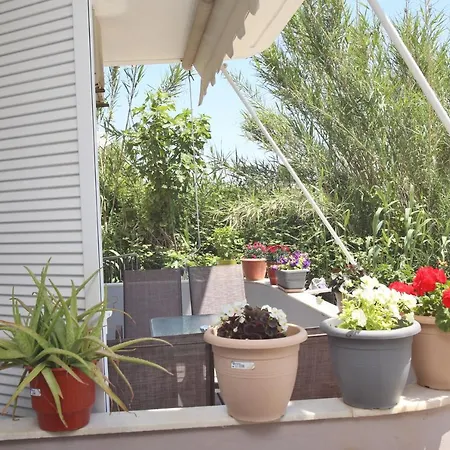 Lefkada Center 奈德里